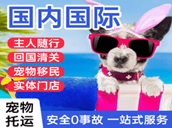 山南隆子机场邮寄国际宠物托运 【国